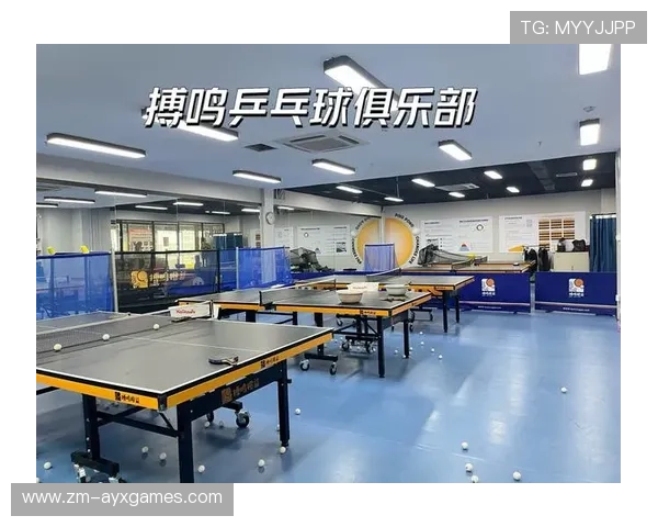 乒乓球俱乐部推动青少年国际交流与训练互访，乒乓球俱乐部活动方案